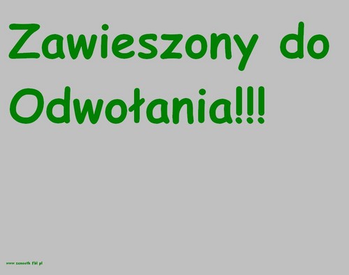 Zawieszony