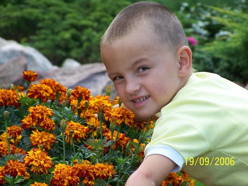 I ja