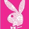 playboy