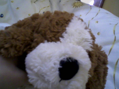 Piesioo :*
