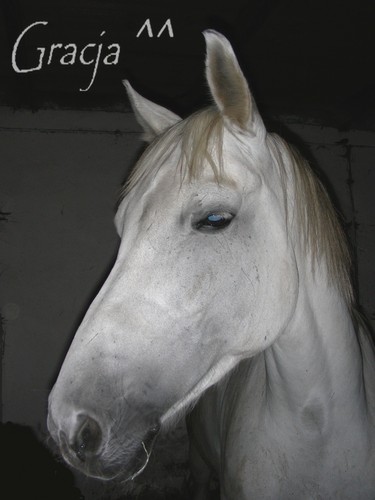 Gracja ^^