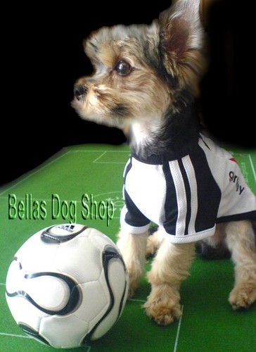 Piesio .. :):)