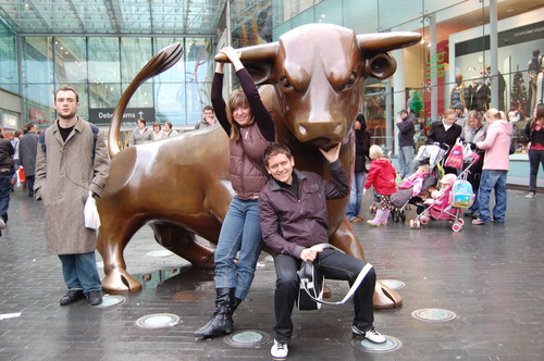 bull  ring 