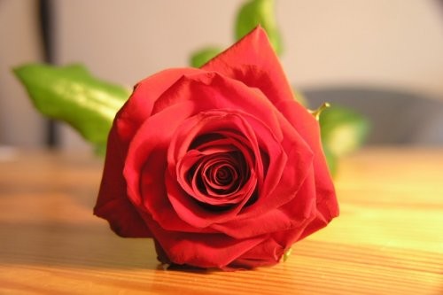 platki roz!