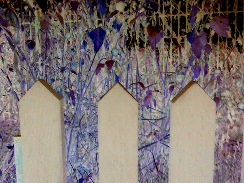 Fence
