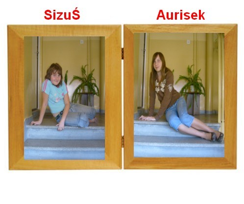 Wpis sizus14