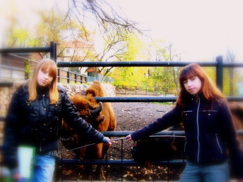 LolecZKiii xD