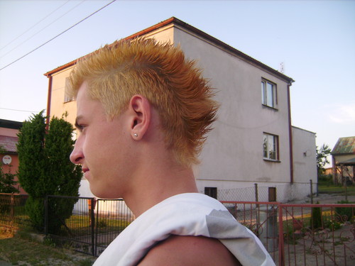 Wpis raszej