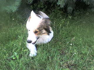Beni:)