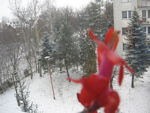 a to ju dawno