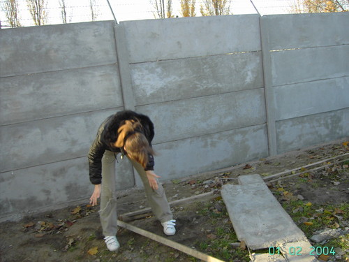 Wpis zakochany17