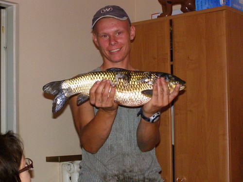 Amur 2.20 kg
