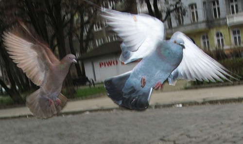 wrocaw
