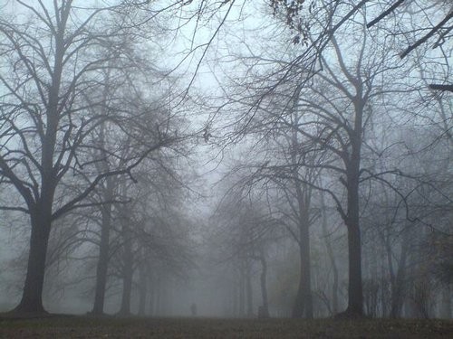 Park Sowiskiego