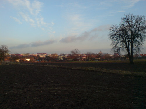 Widoczek