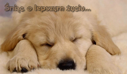 Smutek, al, brak mioci, ale..