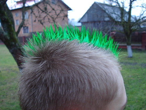 Wpis konrad06