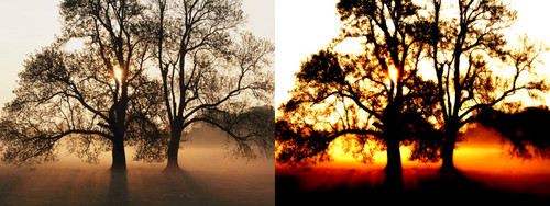 Nature 2