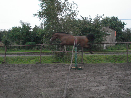 remik