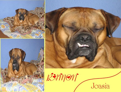 ramon mix
