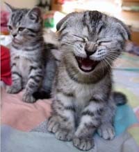bbEeZz JjAaJj