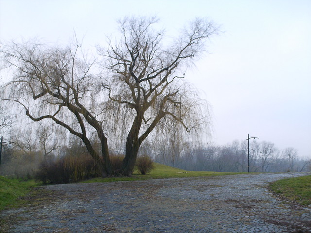 Park