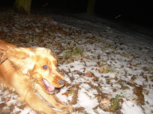 Sonia:)