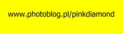 Nowy photoblog 