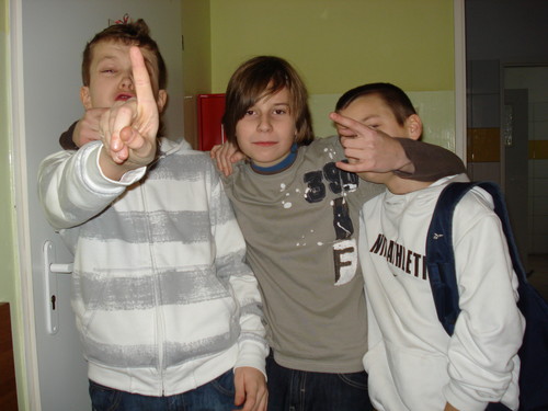 Wpis celrox