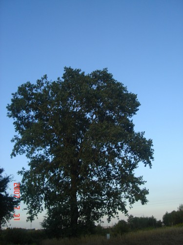 Wpis jerzynka94
