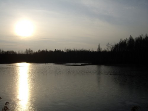 widok