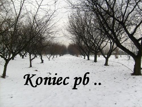 koniec ... ;P