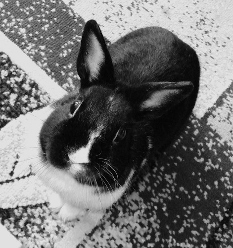 Kicu ;p