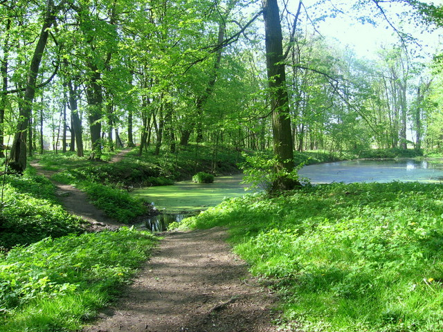 Park - Maa Wie
