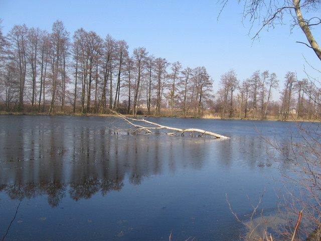 Hibernacja- panorama