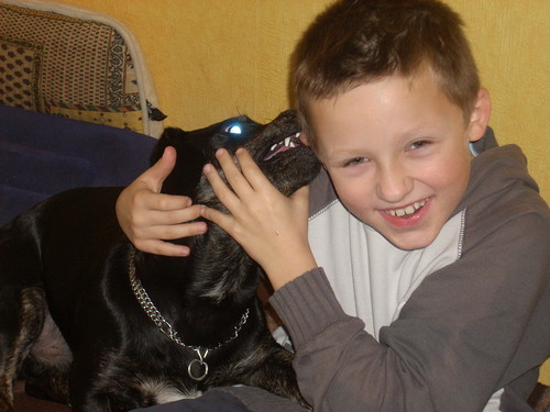 dingo i fifi