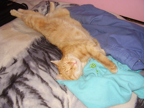 Garfield :)