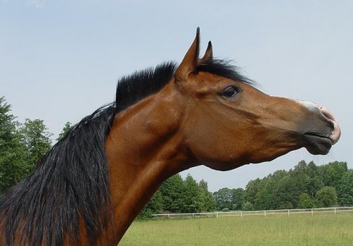 dziwny tydzie