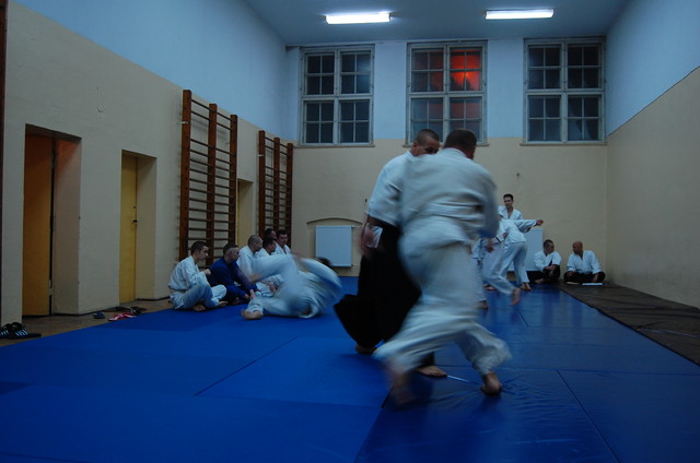 Wpis stekciu