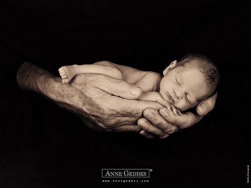Anne Geddes