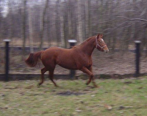 u p. Matlachowskiego :)