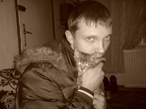 Kotek