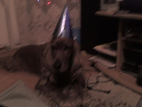 Bady