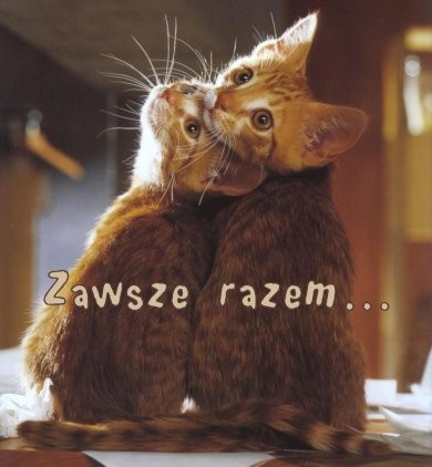 RaZeM...