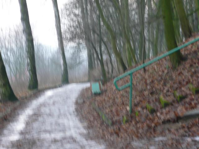 zrobione w parku 