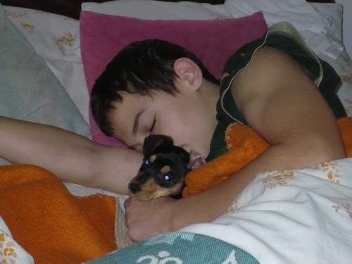 Wpis damianosss