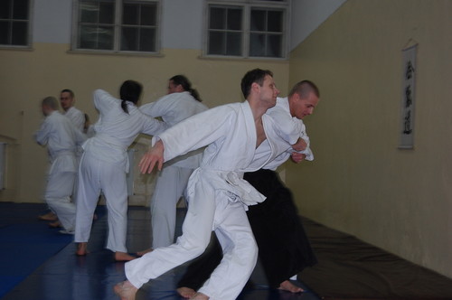 Wpis stekciu