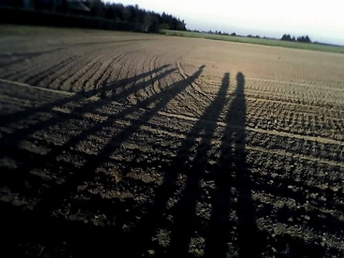Wpis bierdonecki