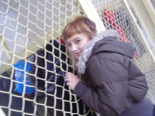 Wpis dzidzialbn