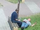 Polska i tylexP 